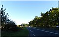 A171 approaching Lockwood Beck Farm