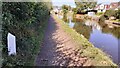 Leeds & Liverpool Canal heading into Silsden opposite Lowfield Crescent