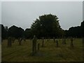 An early morning visit to Fakenham Cemetery (8)