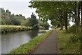 On the towpath beside the Leigh Branch