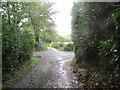 Llwybr ceffyl yn cwrdd â heol / A bridleway joins a road