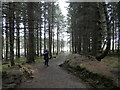 NH6271 : Cnoc Fyrish forest path towards the car park by Douglas Nelson