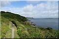 SW8231 : Path at Pendennis Point by DS Pugh