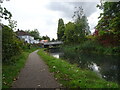 Millfields Bridge View