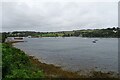 Penryn Estuary beside Stratton Terrace