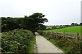 SW8030 : Coast path south of Swanpool by DS Pugh