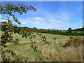 Countryside near Rochester