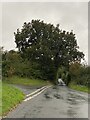 Approaching the turning to Bryngwyn