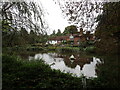 The Old Mill Pond, Wateringbury