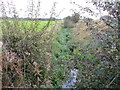 An overgrown field drain near Riggheads