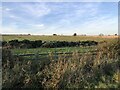 Field off Fenrother Lane