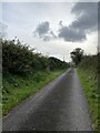 Country lane near Felin Wnda