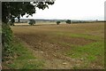 Farmland by Furnace Lane