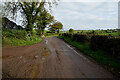 Muddy along Corrashesk Road