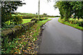 Bridge along Tonnagh Road