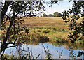 Pond at Elrick