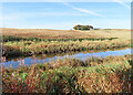 Lower Pond at Elrick