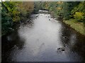 Looking up river from Hodder Bridge