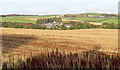 Elrick from Savoch Kirk