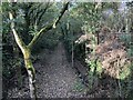 Cornhill Branch trackbed