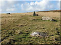 Gweddillion cylch cerrig / Remains of a stone circle