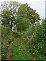 Byway south-east of Heathton in Shropshire