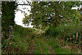 Byway south-east of Heathton in Shropshire