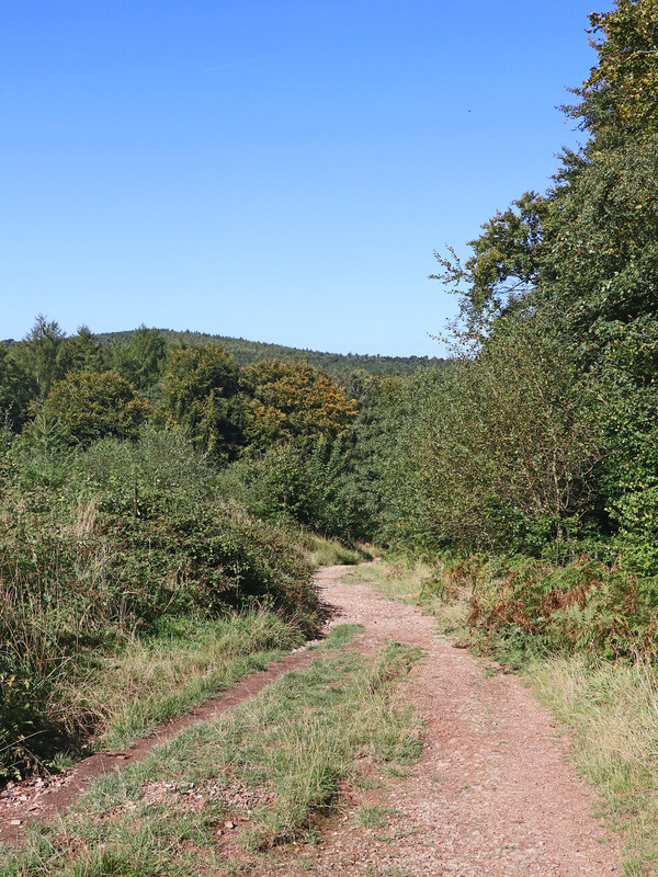 Public footpath on Cannock Chase in... © Roger D Kidd cc-by-sa/2.0 ...