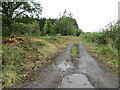 Track giving access to Hall Cottage at Kelhead