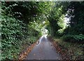 National Cycle Route 1 towards Reepham