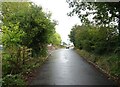 Stony Lane into Reepham