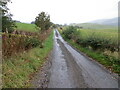 Minor road near Glendenholm