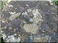 Ordnance Survey OSBM Bolt