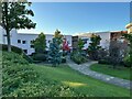 Hospital Garden