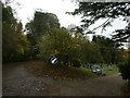 SS Peter & Paul, Great Missenden: churchyard (X)