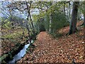 Path to Walker Dam