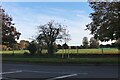 Playing fields by Main Road, Boreham