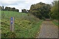 On the former railway path between Midford and Wellow