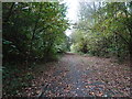 Railway Path View