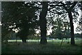 Field by the old hotel by Layer Road, Colchester