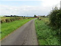 Hedge and fence-lined minor road approaching Greenswangs