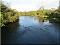 River Annan viewed from Williamwath Bridge