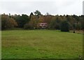 Grazing towards Dale View House