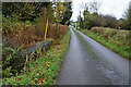 Small bridge along Glenderg Road