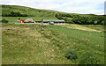 Hill pasture by the Afon Doethie Fawr in Ceredigion