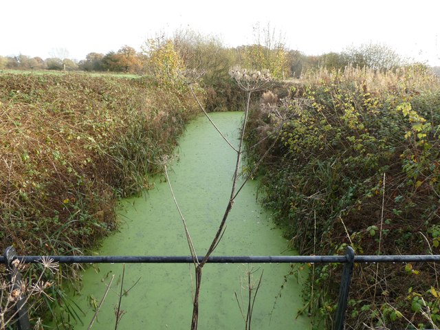 Part Of The Moat At Petton Moated Site Jeremy Bolwell Cc By Sa Geograph Britain And Ireland