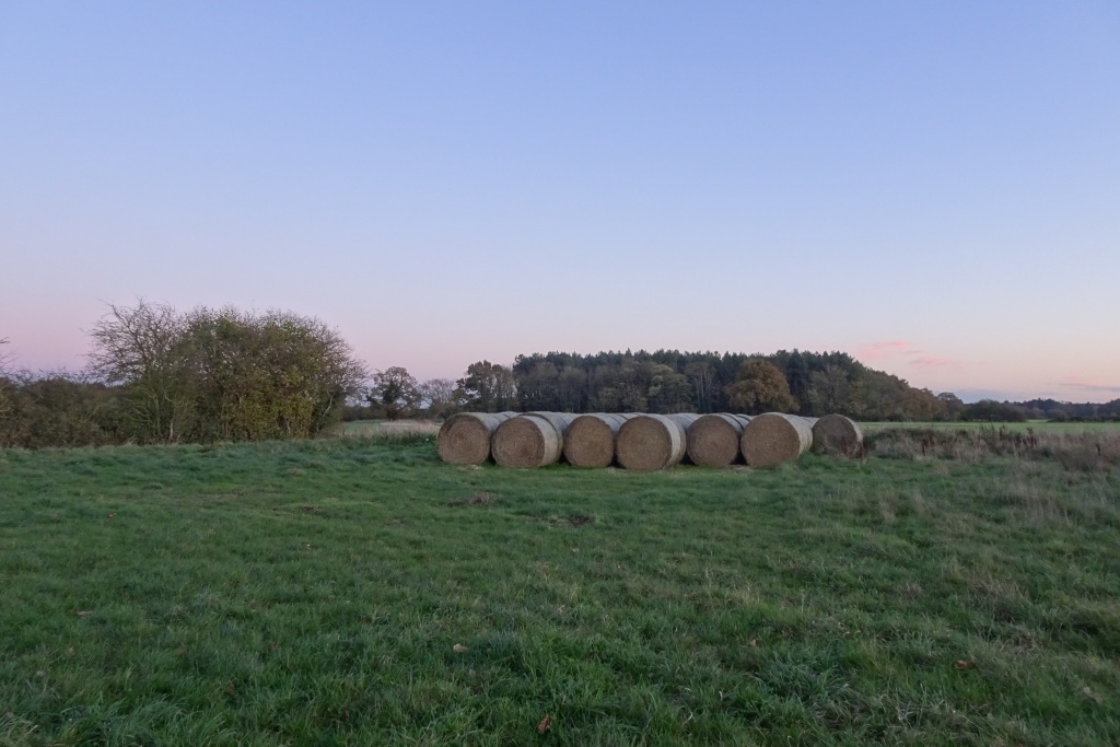 Bales north of Waite's Plantation © DS Pugh cc-by-sa/2.0 :: Geograph ...