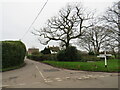 Minor road junction near Bransgore