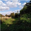 Footpath from Damson Parkway to Catherine de Barnes Heath