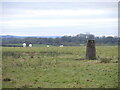 Worthy Hill Farm trig pillar